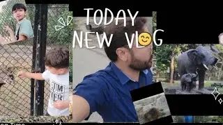 Visit Zoo with Kids🦁🐘 #funnyvlog #foryou #contentcreation #fyp #youtube #viral 