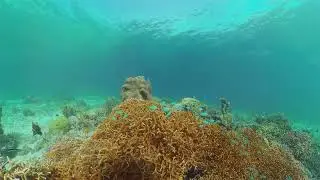 Thailand's Top 10 Island Escapes: A Visual Journey