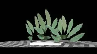 Barberry (Berberis Fortunei) leaves. SideFX Houdini, Karma XPU, MaterialX