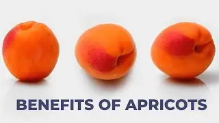 Health Benefits of Apricots 2022 | Letter 