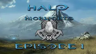 Why Do This To Yourself? | Halo Highlights Episode 1