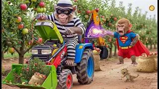 Just 1 Minute of Chaos! Funny Monkey Steals a Motorcycle 🐒 | Monkey on the Farm
