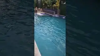 Pool Area At The AC Hotel In Kingston, Jamaica #shorts