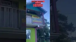 Springfeel Homestay/ Dawaipani#viralshorts #offbeatdarjeeling