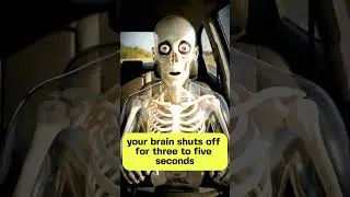 How Long Can You Drive?