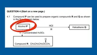Organic Chemistry Reactions Grade 12 Practice Problem