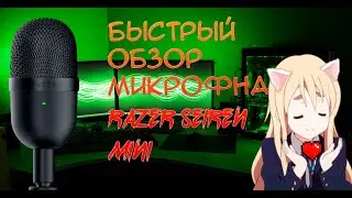 Быстрый обзор микрофона Razer Seiren Mini. Лучший бюджетный микрофон найден!! Razer Seiren Mini ТЕСТ
