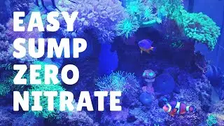 Cheapest Nitrate and Phosphate removal from Reef Tank