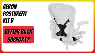 REVIEW (2026): Aeron PostureFit Kit B. Features