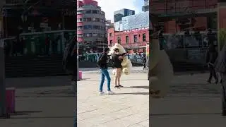 Fotograf&iacute;a En el Prado Pace&ntilde;o Lapaz - Bolivia