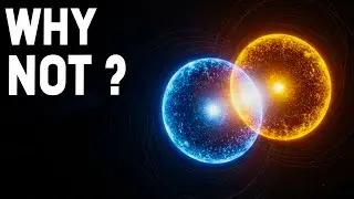Why Matter and Antimatter Did Not Destroy Each Other