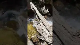 Iran, Lorestan #nature #lorestan #waterfall #iran #beautiful #awesome