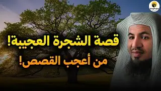هذه ليست قصة عادية… شجرة ورد ذكرها فكانت العبرة أعظم من الخيال — الشيخ محمد الشنقيطي