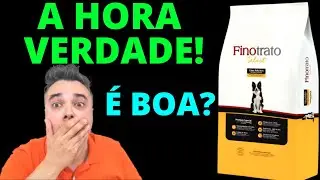 Ra&ccedil;&atilde;o FINOTRATO SELECT - HORA VERDADE!! ✅&Eacute; boa?