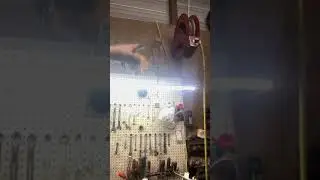 Boost your shop with bright led solutions for mechanics #fok