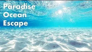 Paradise Ocean Escape | Deep Chillout Sounds for Relaxation & Focus