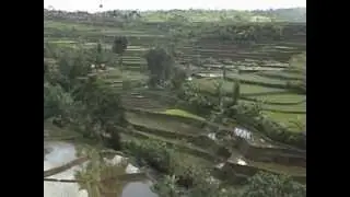 Didi Kempot - Jenang ketan