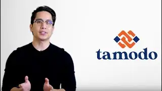 Introducing Tamodo - The Best Affiliate Network For You!