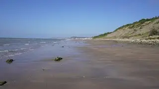 Die schwarzen Kühe von Villers sur Mer in der Normandie