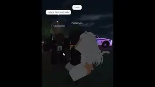 A Video of Roblox's Worst Cities (ERLC)