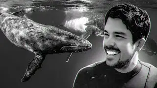 NGO Founder & Whale Rescuer