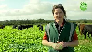 Multispecies Swards: Benefits of Diversity for Farming