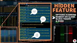TRADE FLASH | Hidden ThinkOrSwim Feature