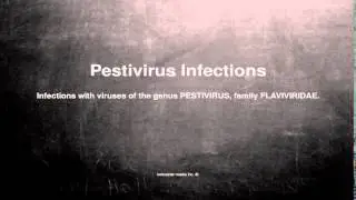 Medical vocabulary: What does Pestivirus Infections mean