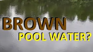 Why Did My Pool Water Turn BROWN?