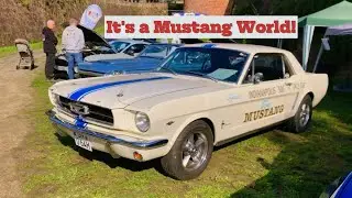 STUNNING Mustang (OLDTIMER )World Unknown TO YOU!