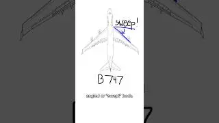 Wing sweep is an important feature when dealing with shock waves! #airplane #subscribe #wings #sweep