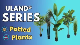 Expanding Into Artificial Plants? Here&rsquo;s How Buyers Review the Full Range