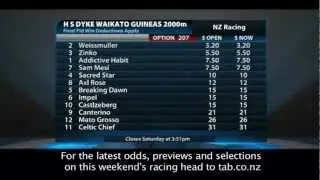 From the Bookies Desk: Group 2 H S Dyke Waikato Guineas