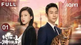 【FULL】朱亚文杨子姗新剧💓隐退大佬闪婚高冷女总裁杨子姗，看“受气小娇夫”如何变身战神护妻打脸！|赖猫的狮子倒影 EP01 The Lion's Secret | 爱奇艺华语剧场