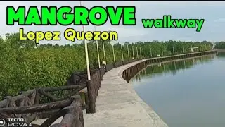 SIKAT NA MANGROVE WALKWAY SA LOPEZ QUEZON PROVINCE