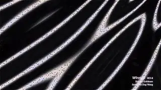 Apophenia: Harvey Goldman at Dedee Shattuck Gallery