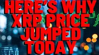 XRP Gets Political: 