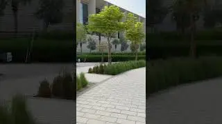 Хочу показать комьюнити, от застройщика MAG, в котором живу #dubai #дубай #MAG
