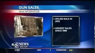 Virginia Gun Sales Reach Record High In 2013