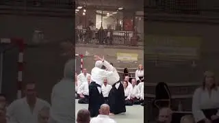 Master of #Aikido- #Yamada Sensei.