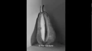 Flor Garduno / HL Photo Gallery