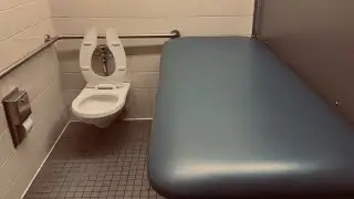 Elementary School Girls&rsquo; Restroom | American Standard Afwall Toilet Flush | Los Angeles, California