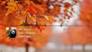 Telli Turnam - Seydi Ceylan - Elektro Bağlama Tavsiye