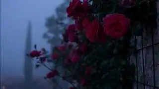 Vannvidd ~ Springtime Depression (Forgotten Tomb cover)