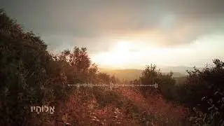 שירה מקודשת : שלי מאיירס - שלח אורך | Sheli myers