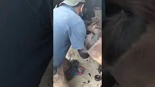 Rescue nasiraan sa  bundok  spindol bearing