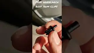 Mini wheelarch body trim clips/ rivets