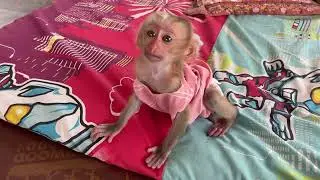 Baby Just Getting up