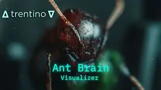 Trentino &ndash; Ant Brain (Официальный визуализатор) | FVYDID Records