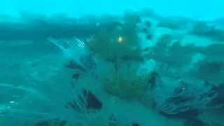 Izor's Reef and Long Beach Breakwall